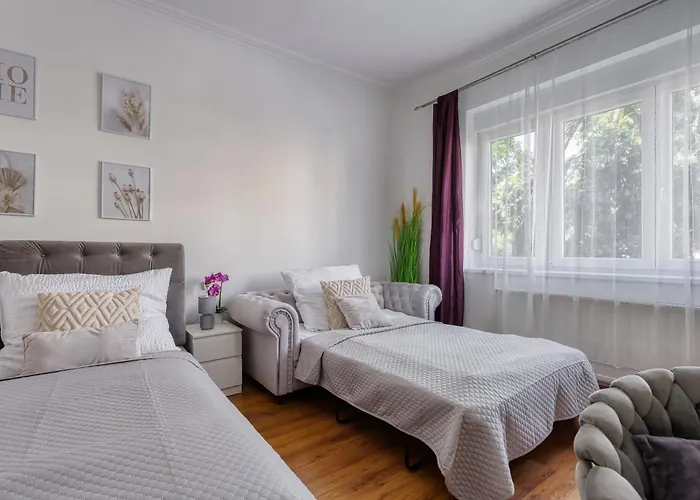 B2 Big King Apartament *